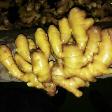 生姜，大黄姜，小姜山东生姜，生姜价格一手货源价优