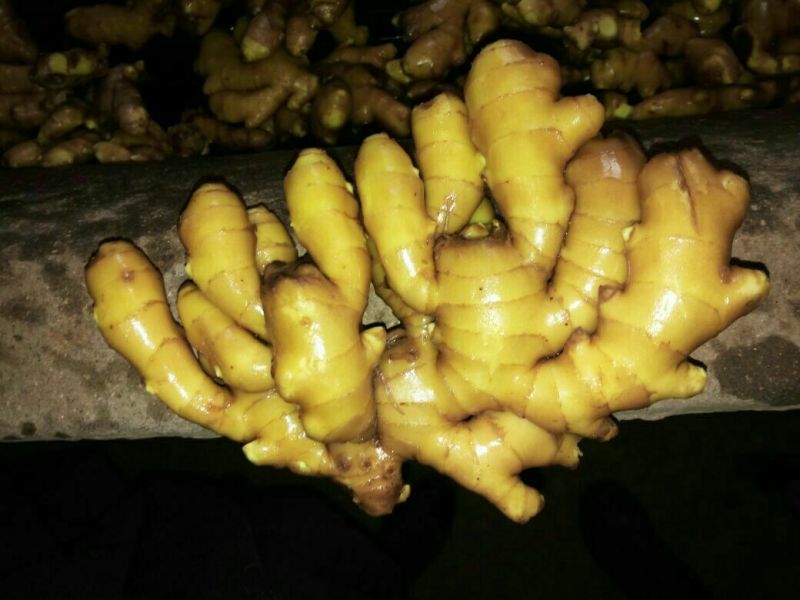 生姜，大黄姜，小姜山东生姜，生姜价格一手货源价优