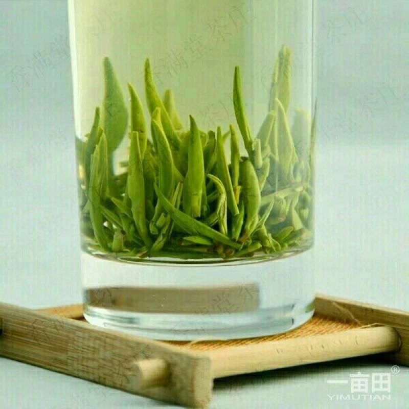 观音茶特级
