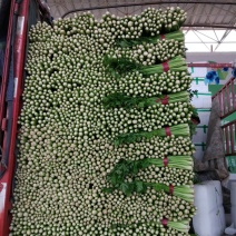 芹菜