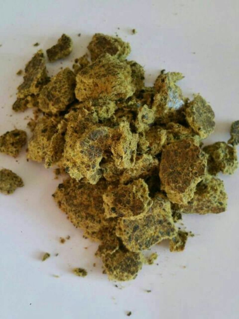 棉籽