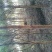 香樟8~10cm10~12cm8~10cm3.5~4