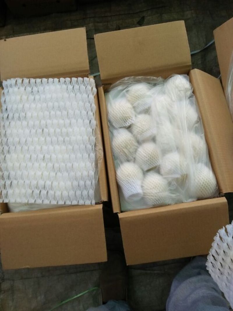 雪花梨600g以上纸箱