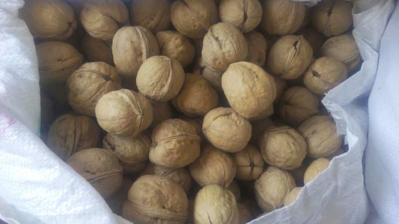 新疆185核桃去皮