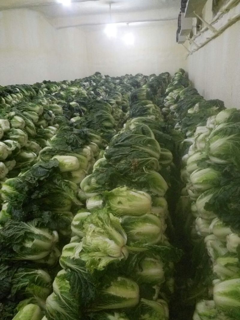 白花菜花1斤紧密乳白