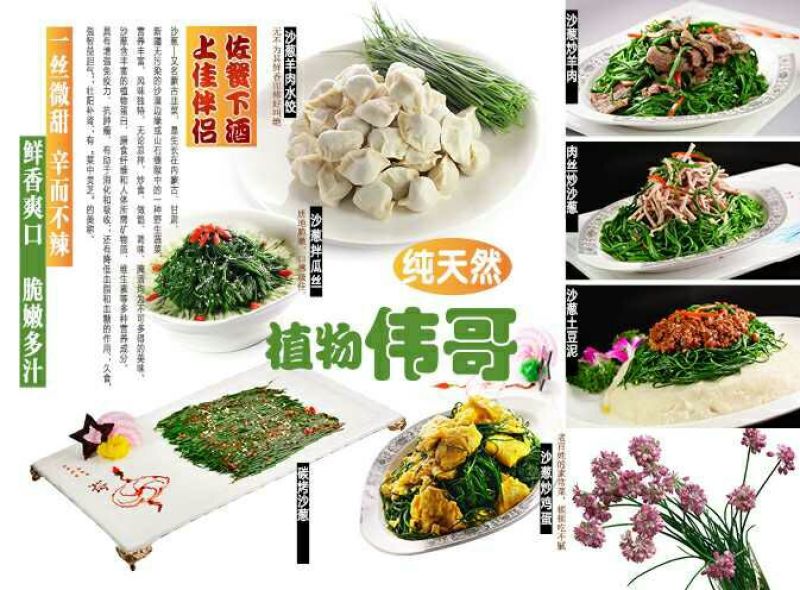 沙葱15~20c