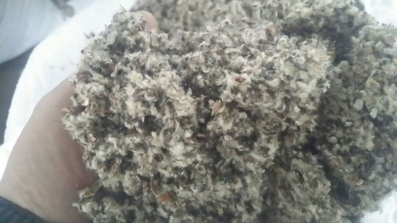 棉籽壳铁路发运磨盘可加粉20优质磨盘货可视频看货