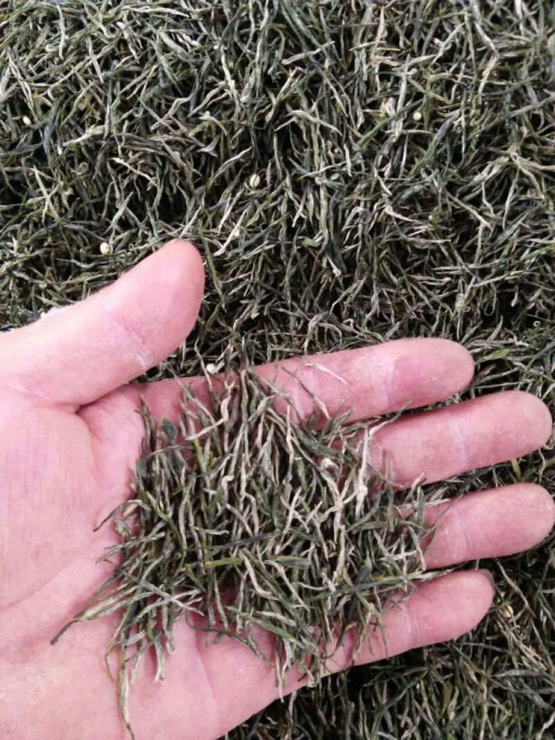 石阡苔茶特级