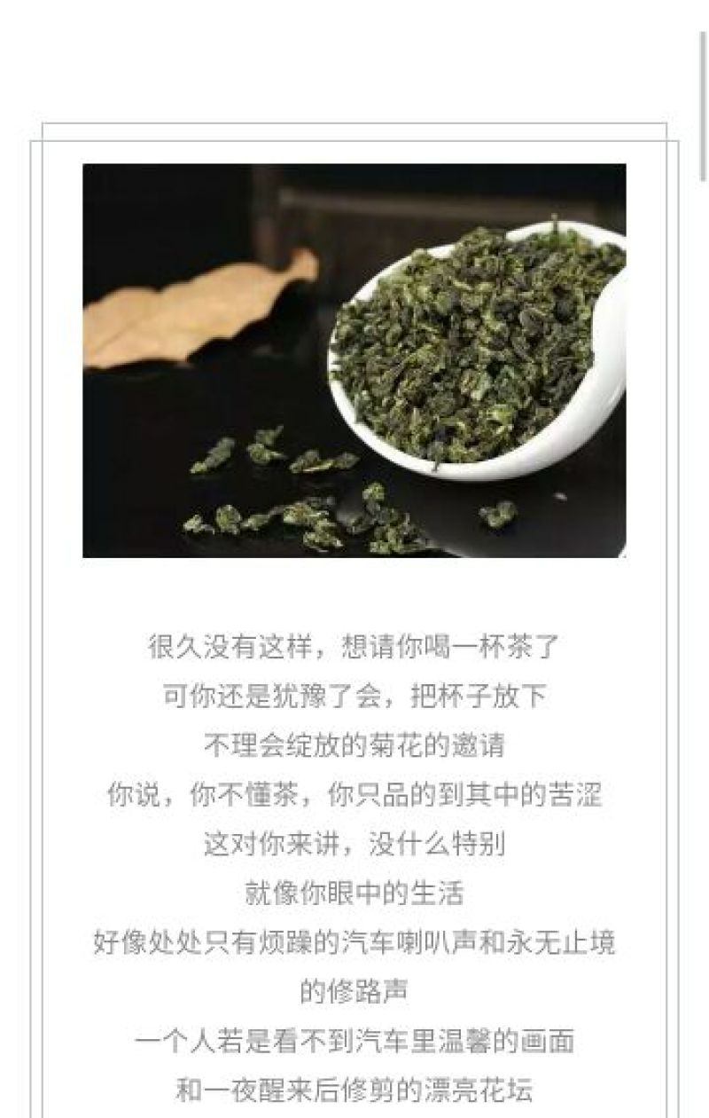 观音茶二级