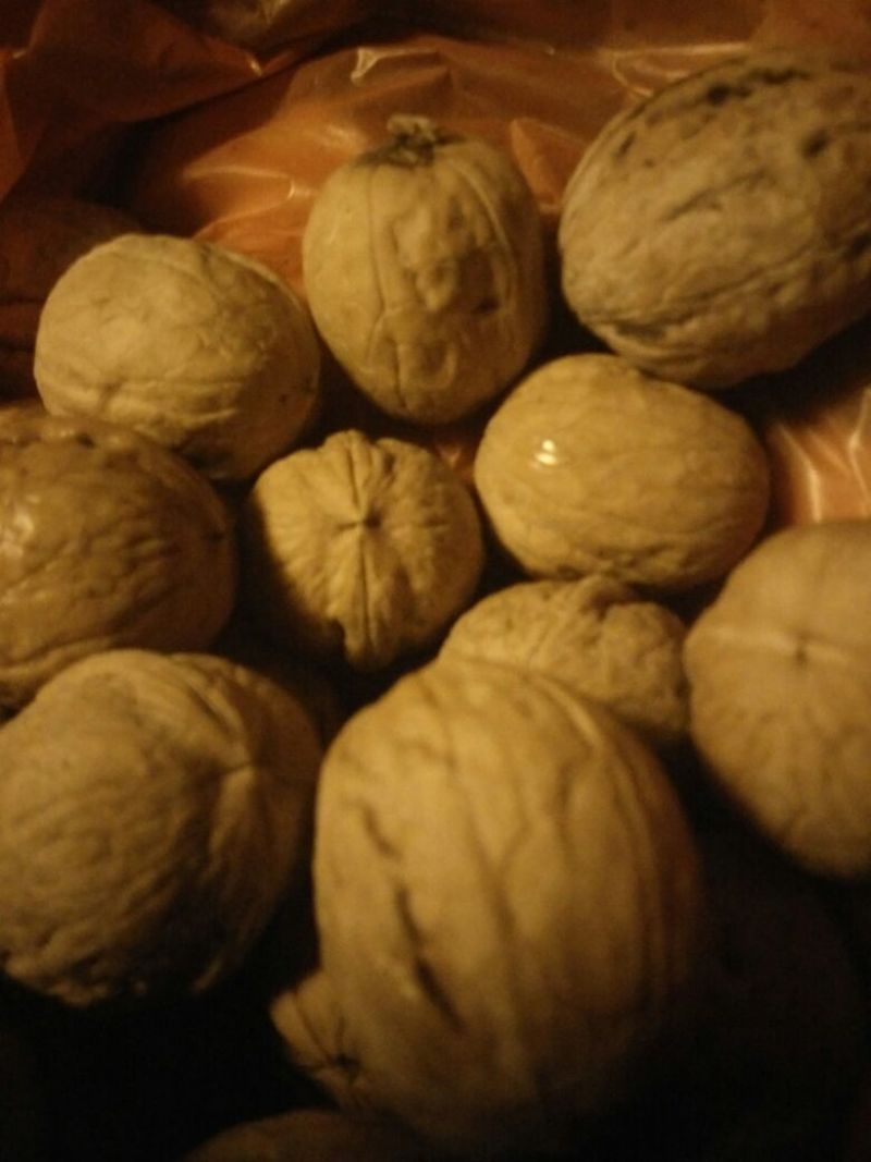 香玲核桃30mm以上去皮干