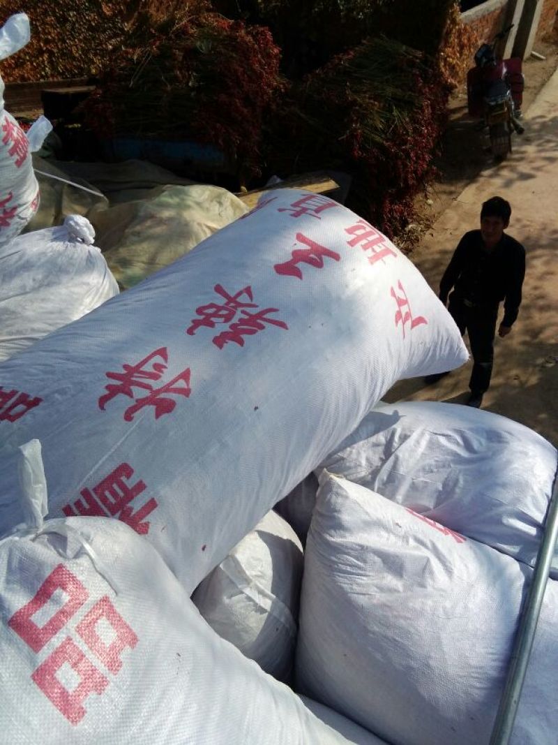 辣椒王5~10厘米特辣红产地直发量大优惠欢迎下单咨询