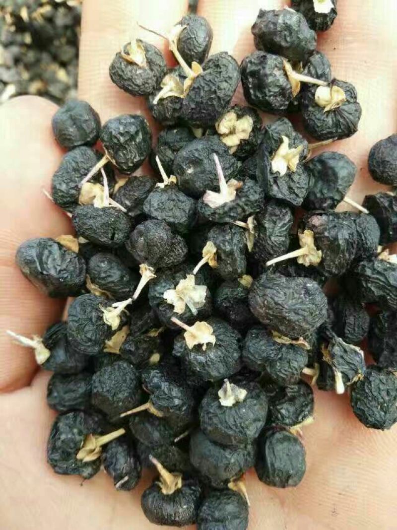 枸杞头茬