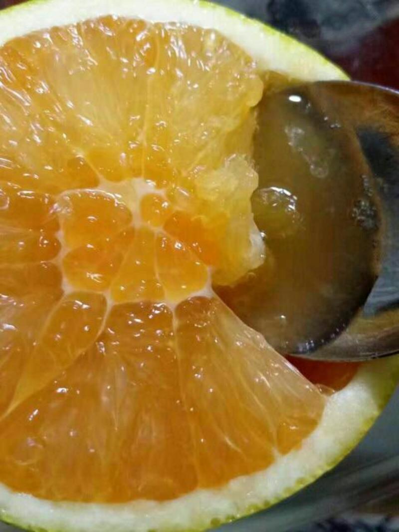 精品伦晚脐橙橙子柑橘产地直销保质保量欢迎订购