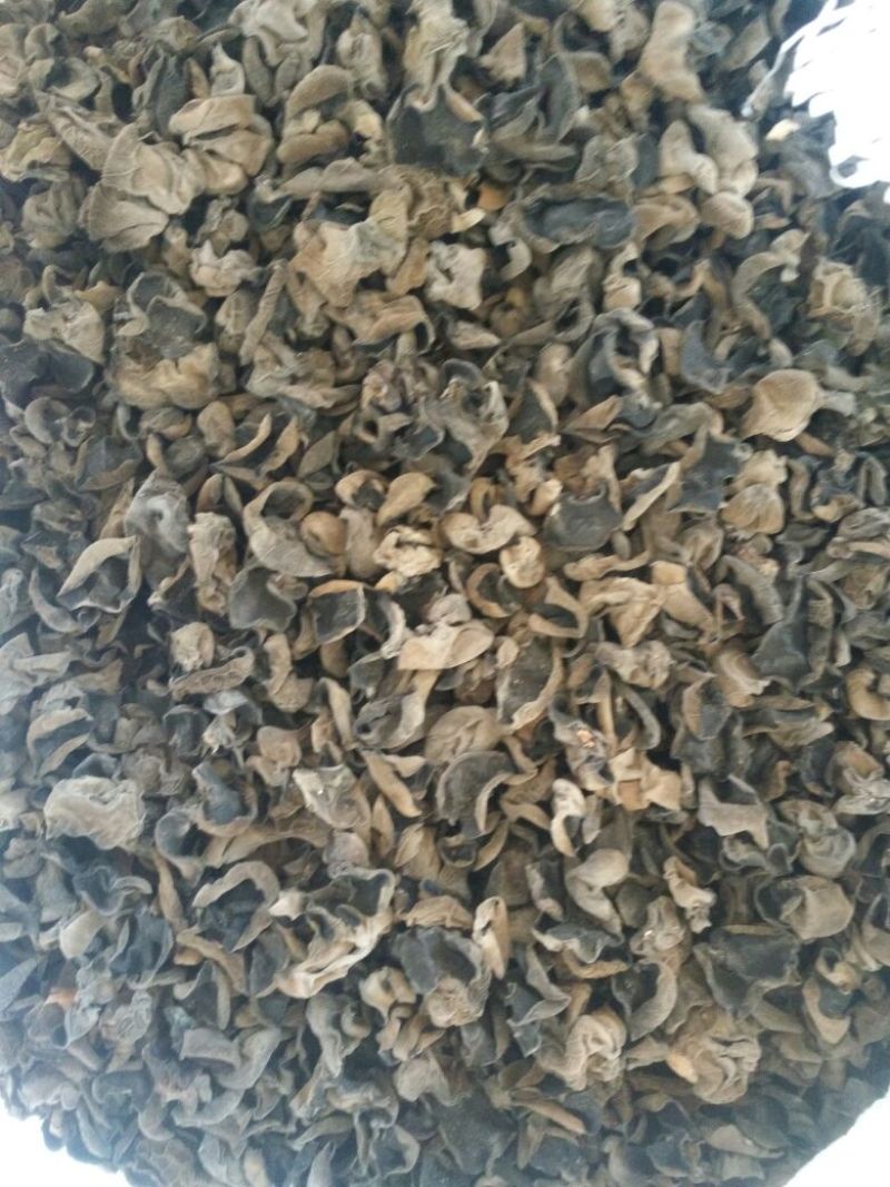 干木耳一级