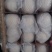 皇冠梨250~300g纸袋