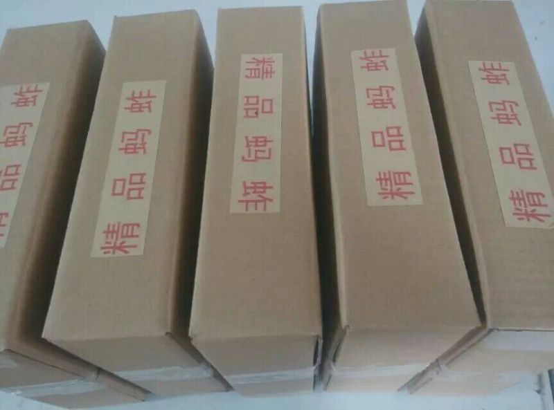 蝗虫食用