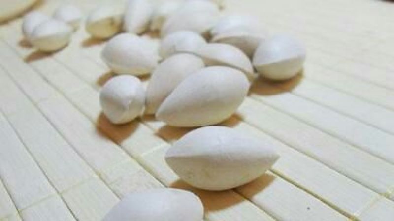 大果银杏白果上市中，欢迎新老客户采购