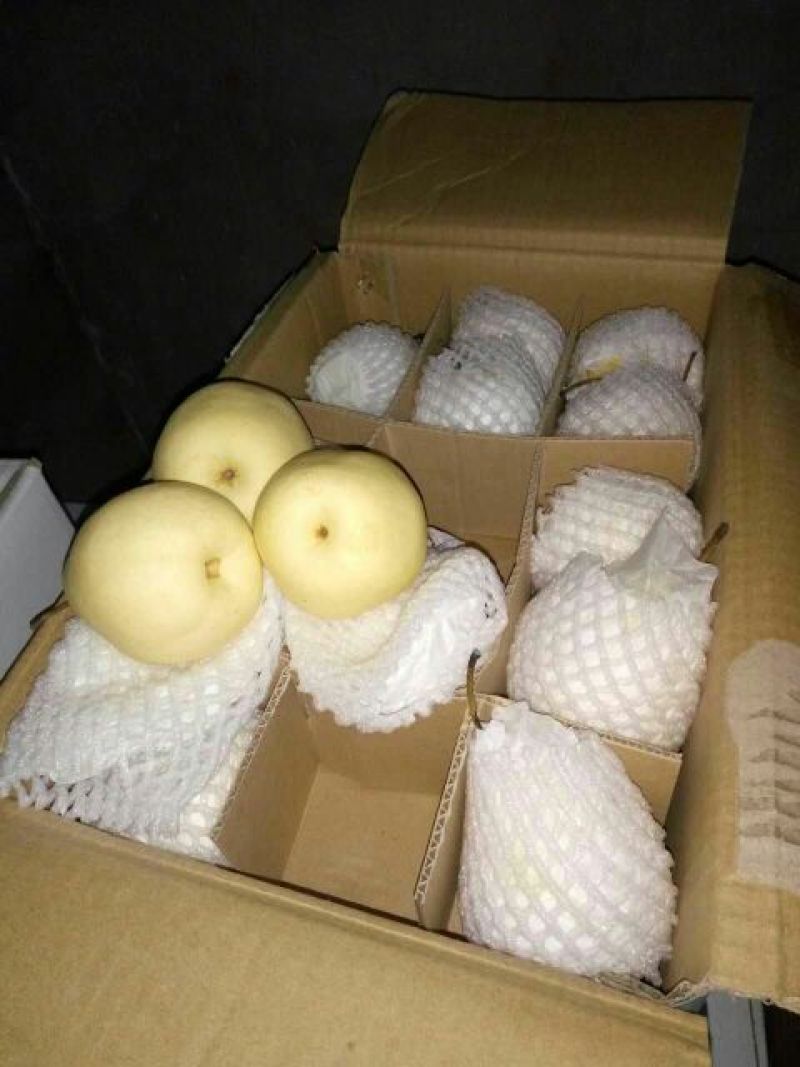 鸭梨250~300g纸箱