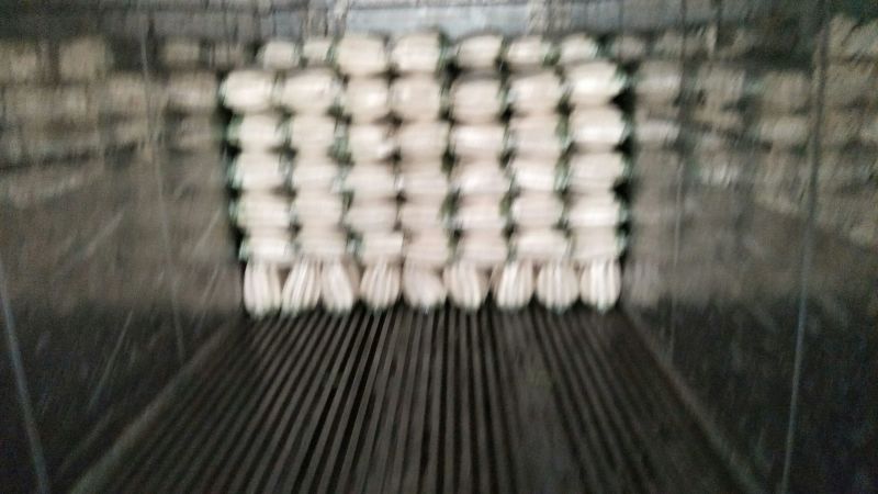 白皮白萝卜1.5~2斤起