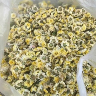 白菊花茶
