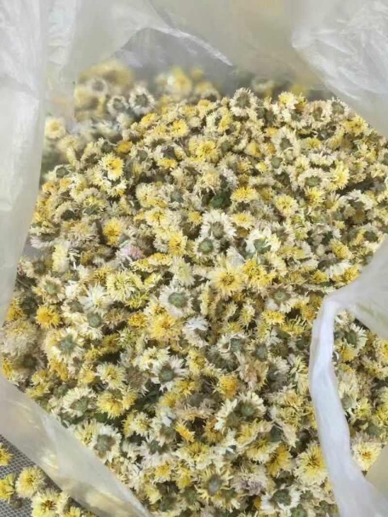 白菊花茶