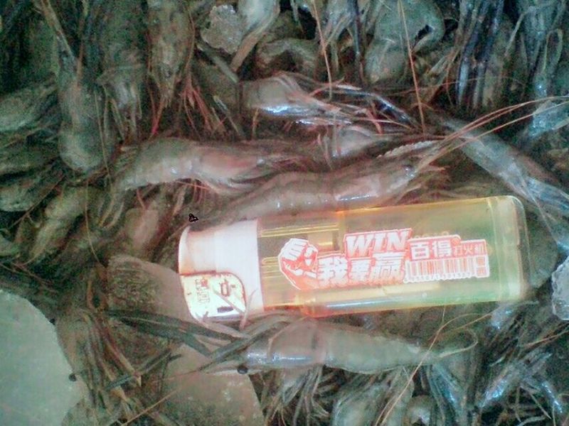 河虾活虾21~25只/kg