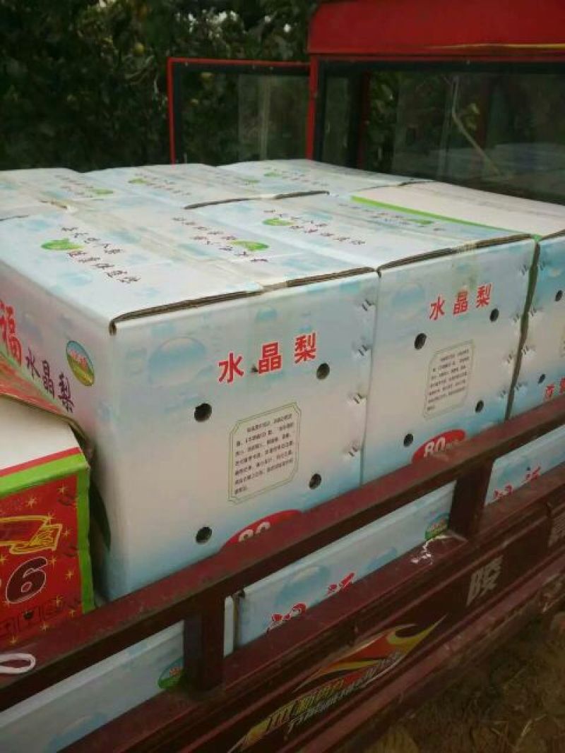 雪花梨300~350g膜袋