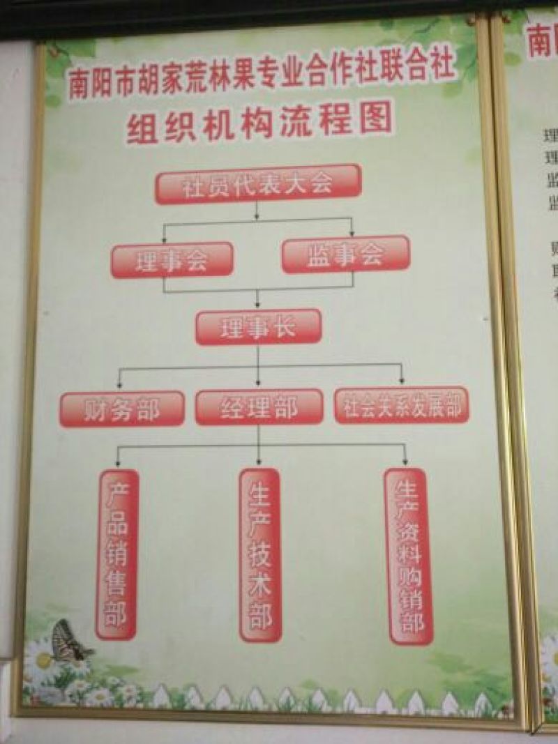 黄金梨200~250g纸袋