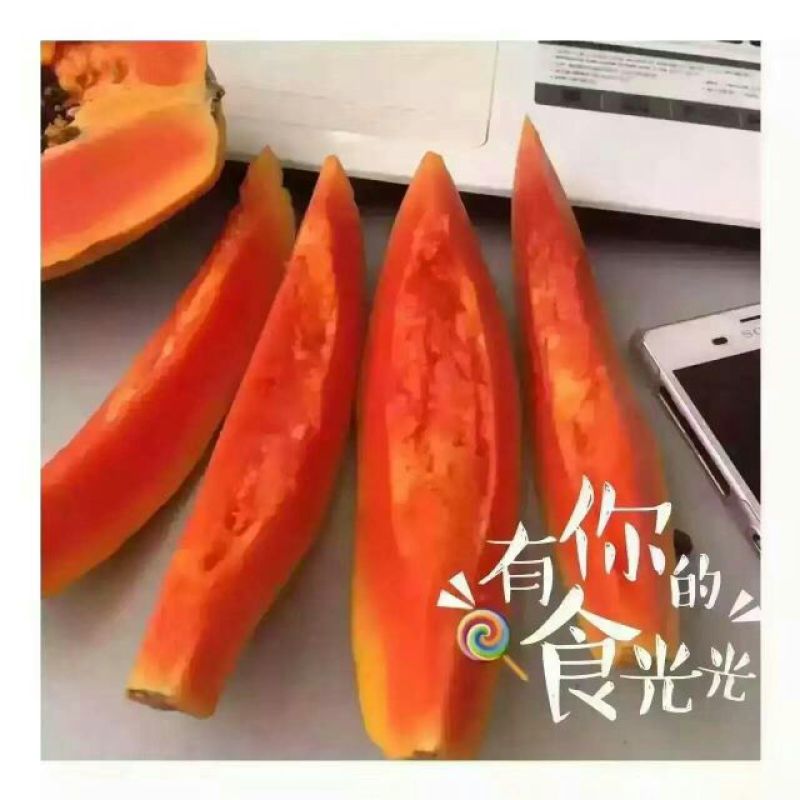 大青木瓜1.5~2斤