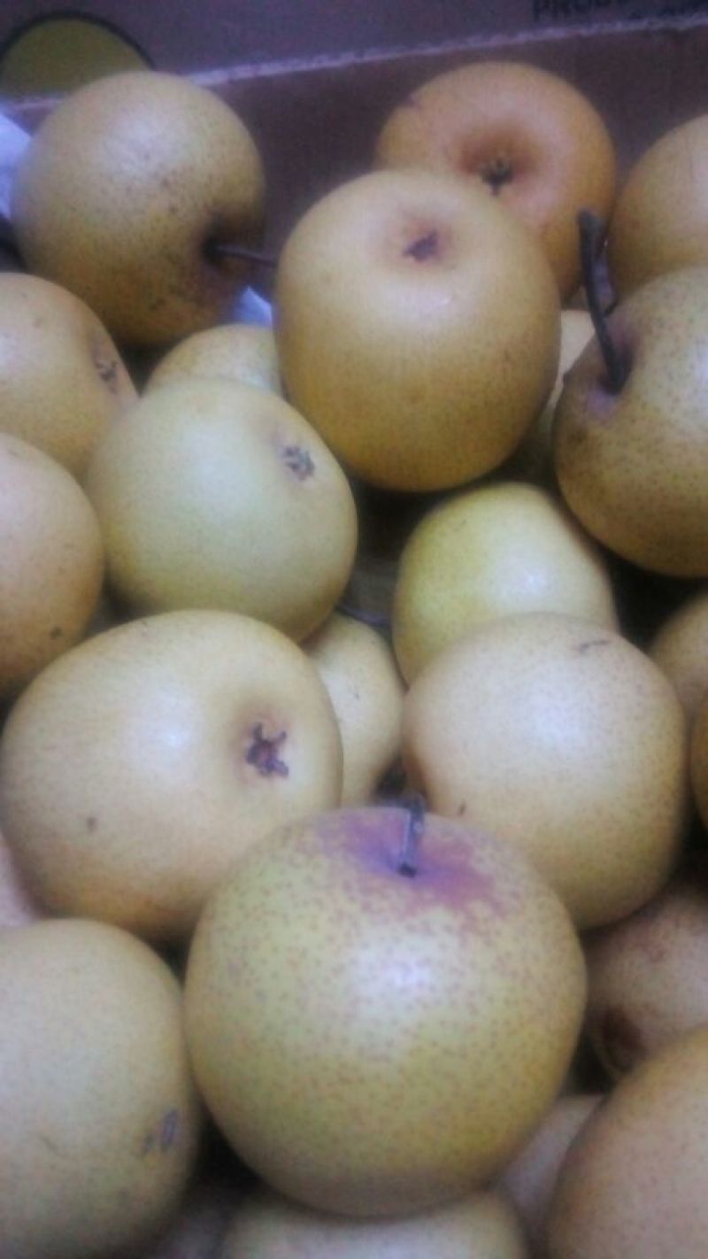酸梨60~100g纸箱
