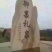 酥梨200~250g纸袋