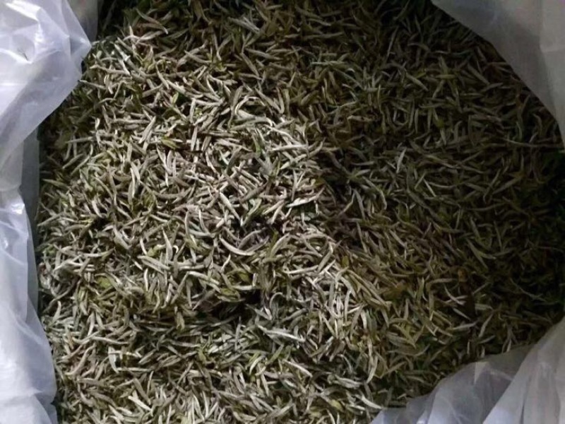 普洱绿茶