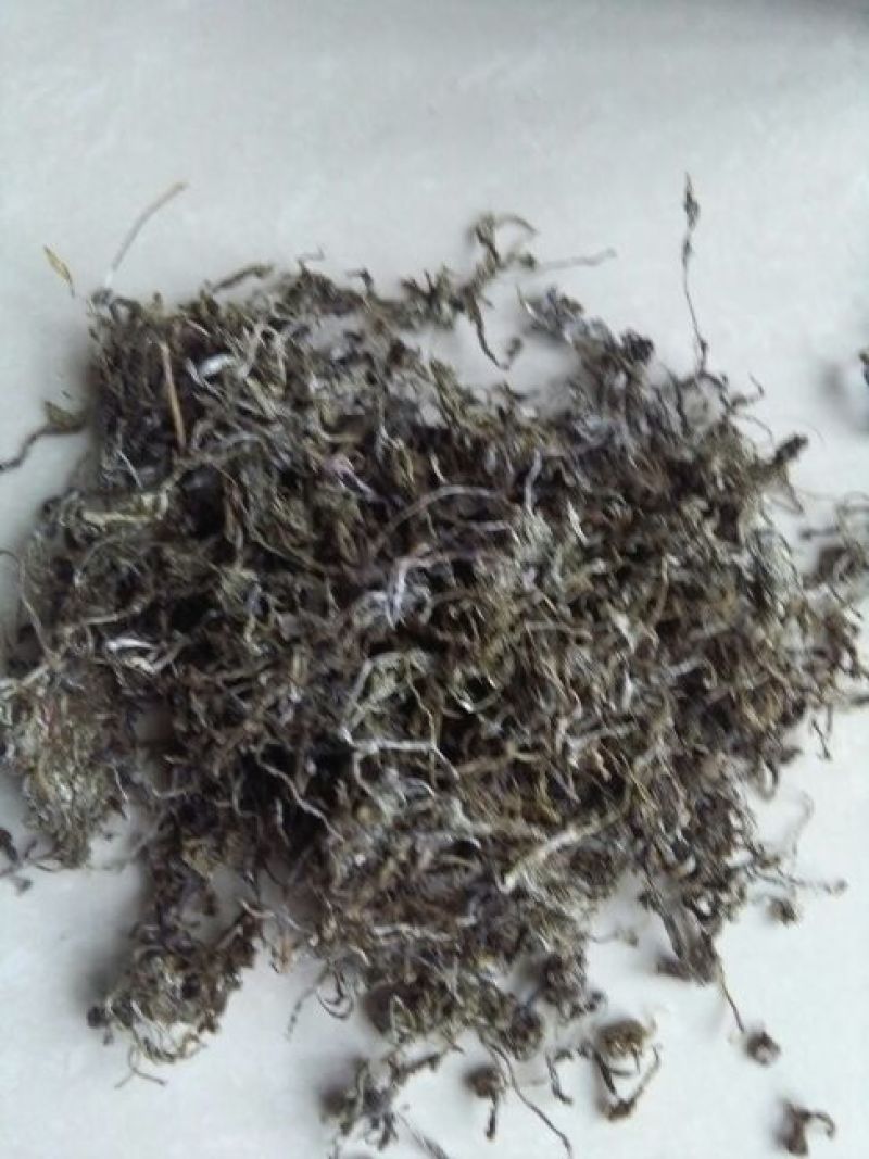 藤茶特级