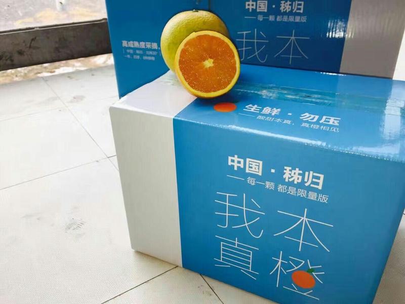 雷波脐橙橙子柑橘产地直销保质保量欢迎订购