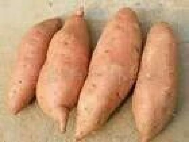 龙薯9号黄心3两以上