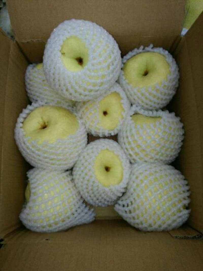 砀山梨200~250g纸袋