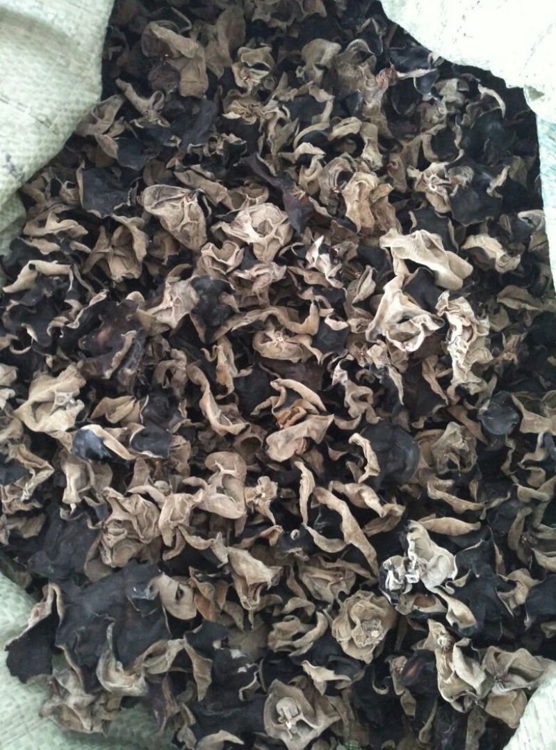 木耳一级