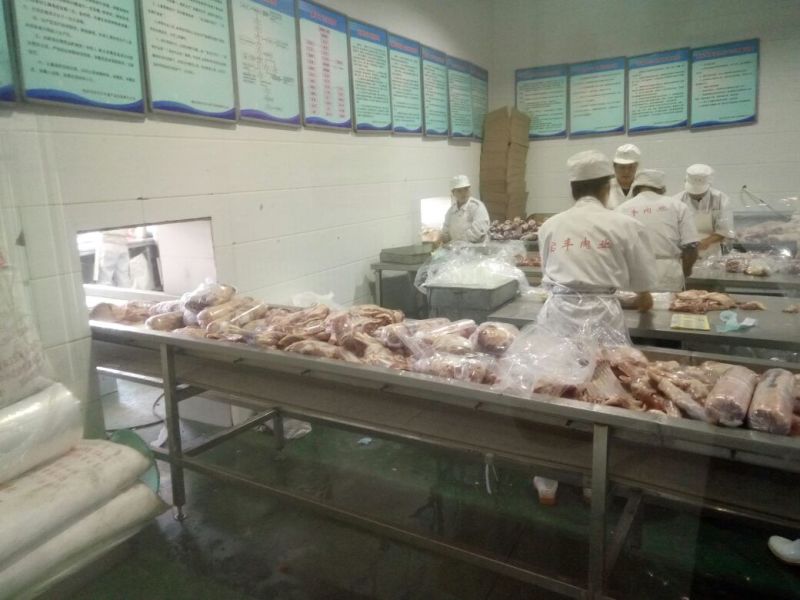 羊后腿绵羊肉是