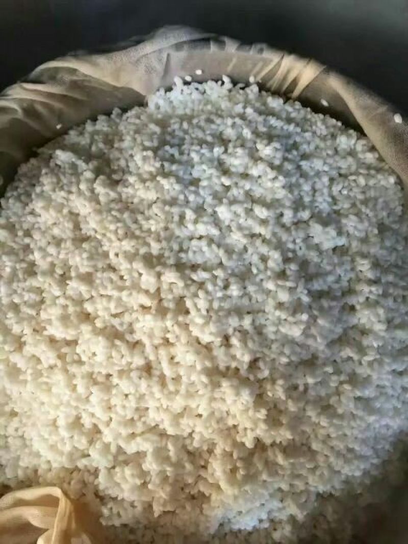 醪糟酒酿