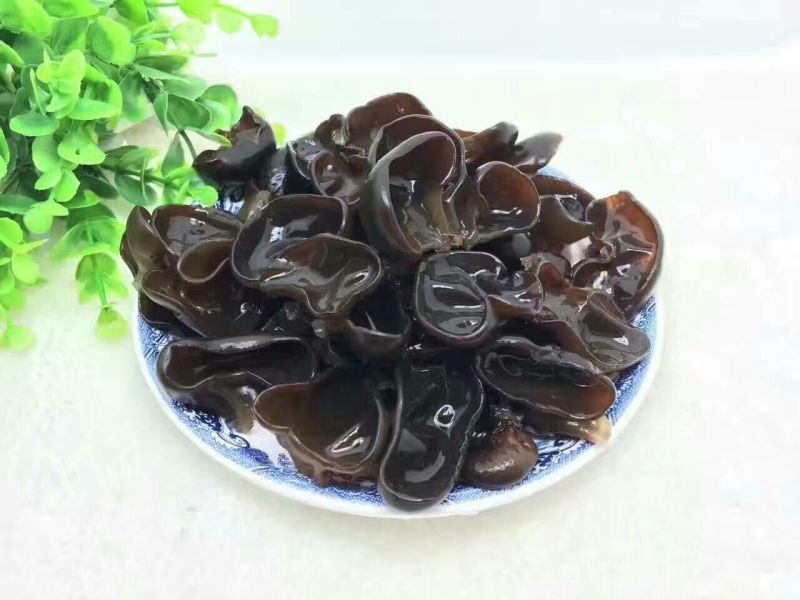 黑木耳特级