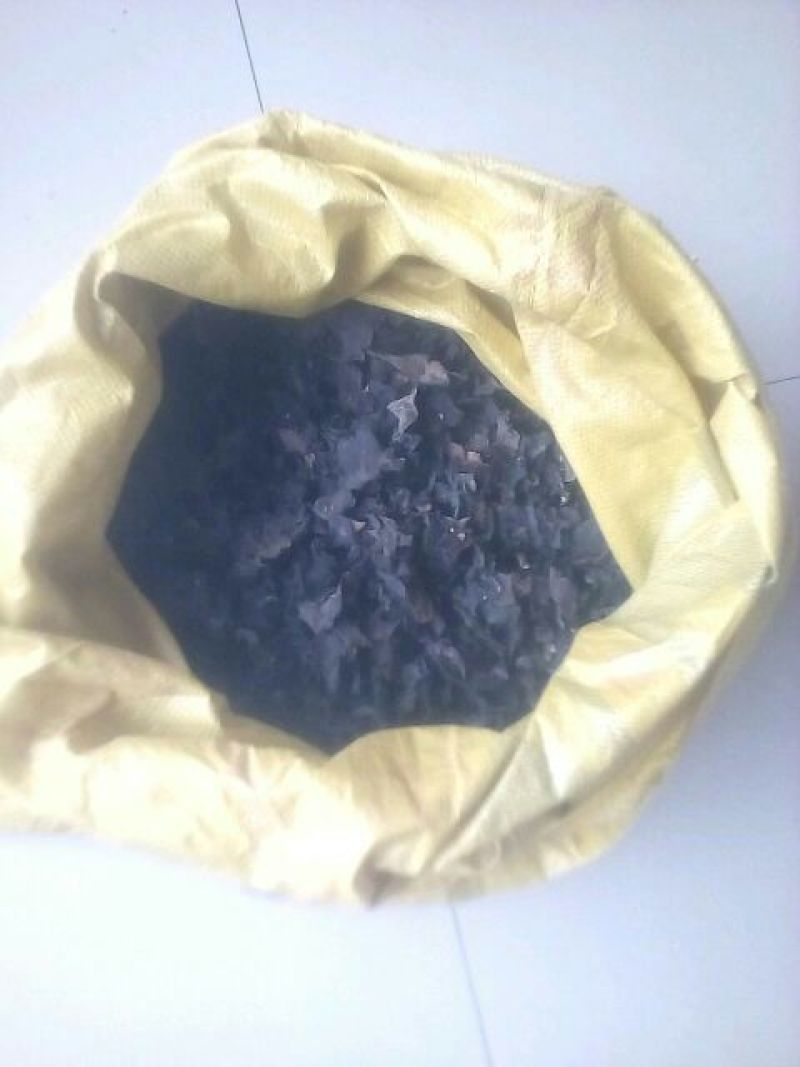 黑木耳一级