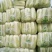 北京三号大白菜大量供应，价格低质量好