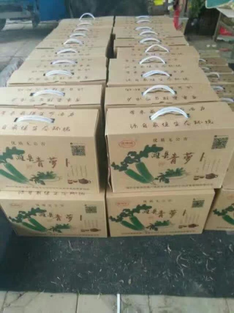 青萝卜
