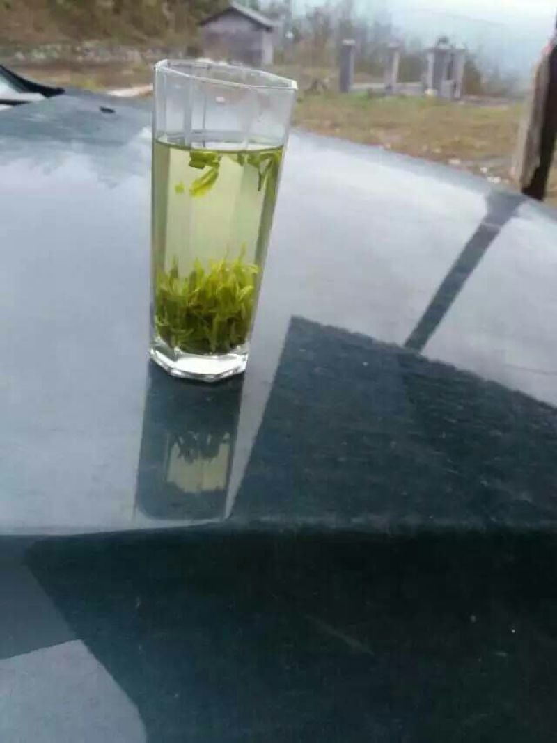 本山茶特级