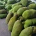 菠萝蜜10~20公斤档口批发电商代发