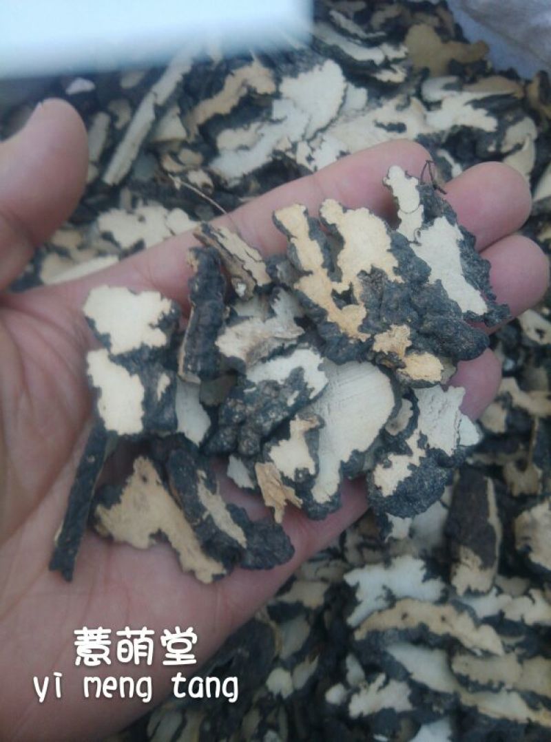 猪苓猪屎苓个