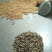 黑木耳等外
