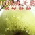 砀山梨550~600g纸箱