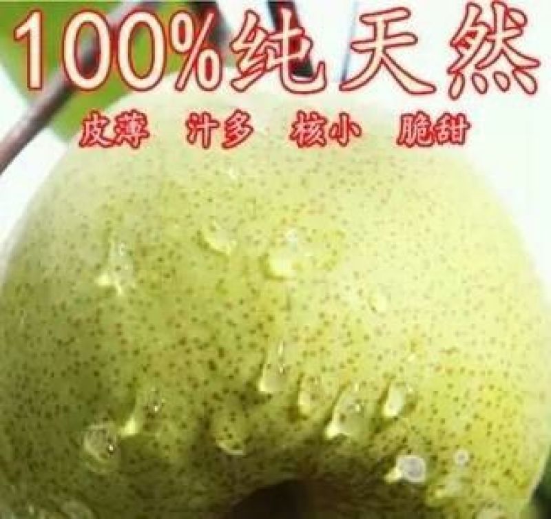 砀山梨550~600g纸箱