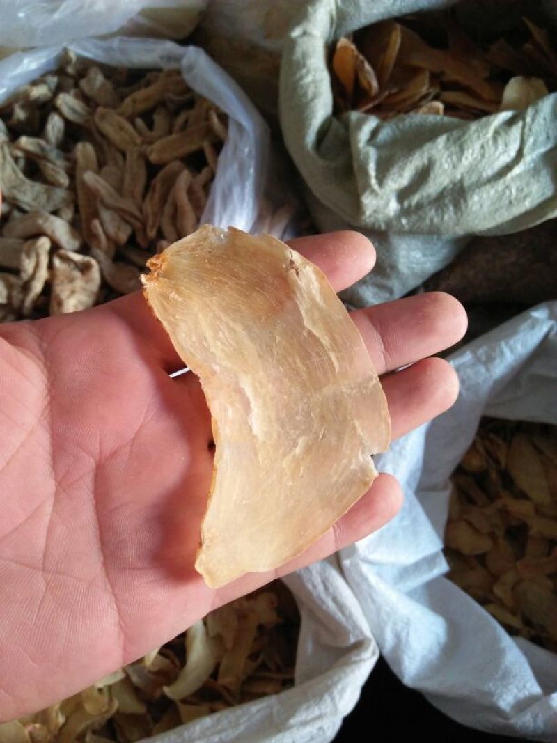 天麻片